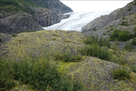 Exit Glacier